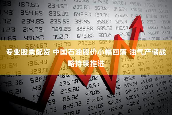 专业股票配资 中国石油股价小幅回落 油气产储战略持续推进